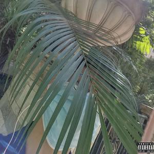 东风菱帅(ON TOP REMIX)（feat the girl next door)