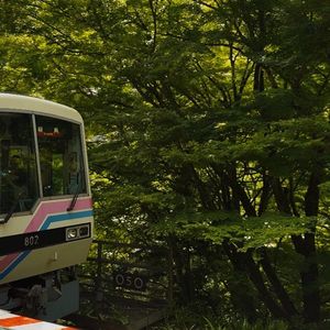 开往无尽夏的列车