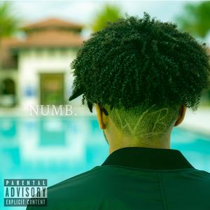NUMB.(Feel Again)