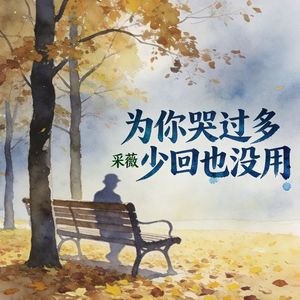 为你哭过多少回也没用(伴奏)