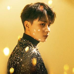 雾里(0.8x降调版)(DJ Vermissen版)