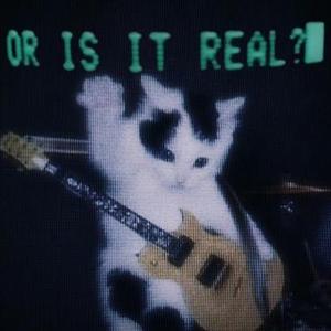 一步三摇 (DJ版)