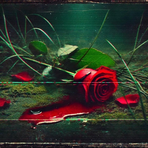 AMOUR ÉCORCHÉ