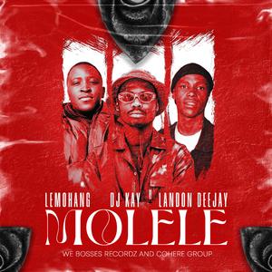 Molele