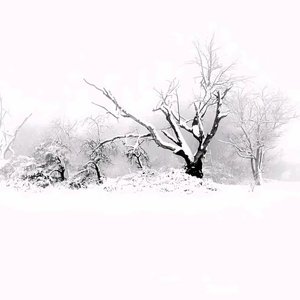 初雪送走我和你