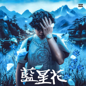 蓝星花