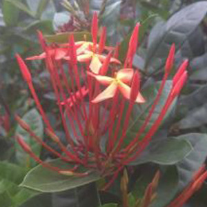 Pretending I’m Fine