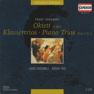 Piano Trio No. 2 in E-Flat Major, Op. 100, D. 929:II. Andante con moto