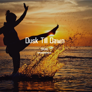 ZAYN-Dusk Till Dawn（Savior remix）