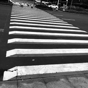 这城市风总是很大（翻自枯木逢春）