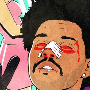 Falsehood（Mai玩具盒bouns）