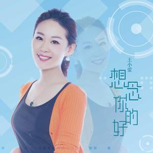 想念你的好 (DJ版)