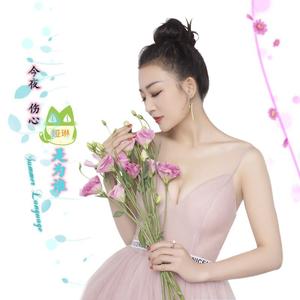 先说爱的人为什么先离开