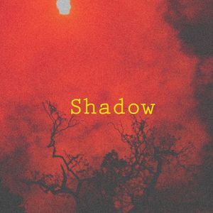 Shadow