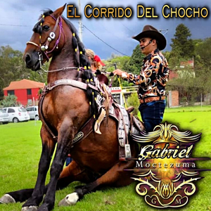 El Corrido Del Chocho