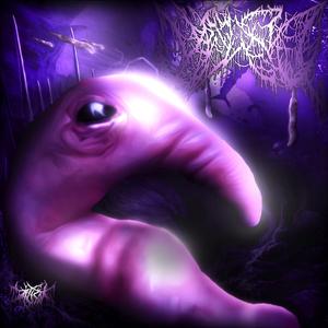 Interloid (Minn Interlude)