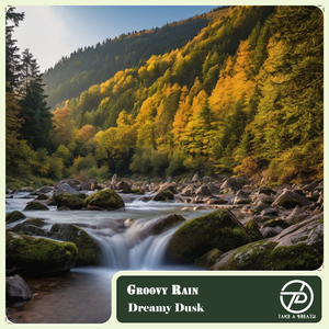 Groovy Rain