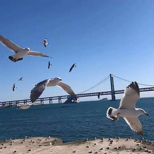 那我做你的晴天