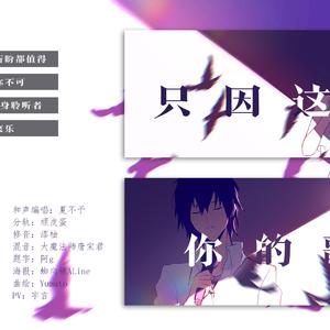 只因这是你的歌
