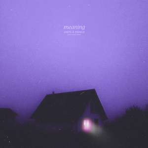 meaning (slowed + reverb)