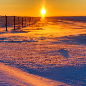 这个冬天我就在南方过了