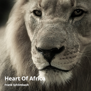 Heart of Africa