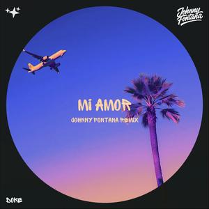 Mi Amor (Johnny Fontana Remix)