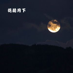 终究还是错过 (古筝曲)