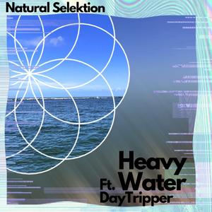 Heavy Water (feat. Day Tripper)
