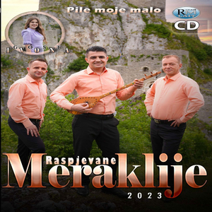 Daleko je moja Bosna