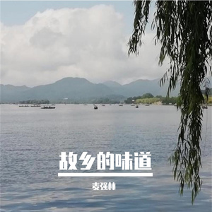 故乡的味道 (剪辑版)