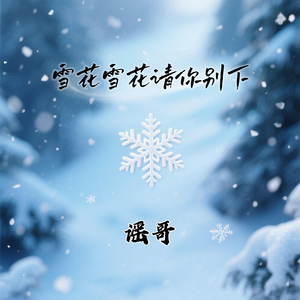 雪花雪花请你别下