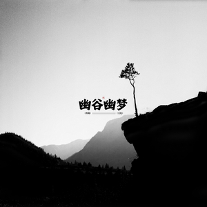 静谧花林 (古琴)