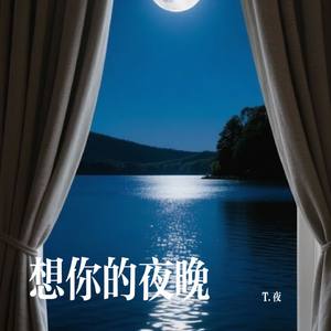 想你的夜晚
