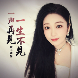 一声再见一生不见