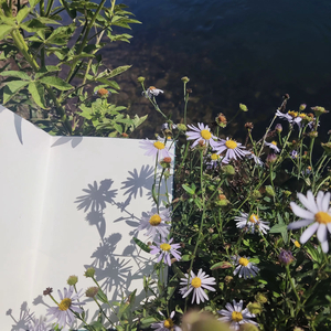 我亲爱的怪物-我不敌你