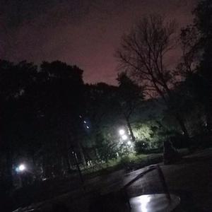 Hold Me Down Forever