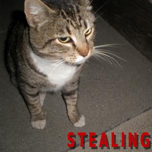 Stealing