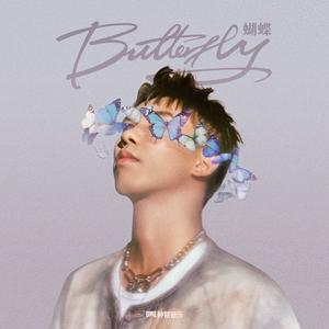 蝴蝶 (DJ remix)