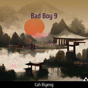 Bad Boy 9