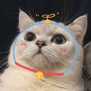 纯音乐