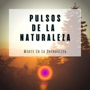 Music For Work (feat. Sonidos De Agua & Sonidos Naturaleza)