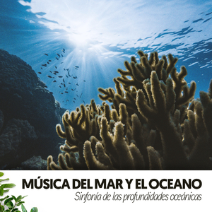 Serenata oceánica al atardecer