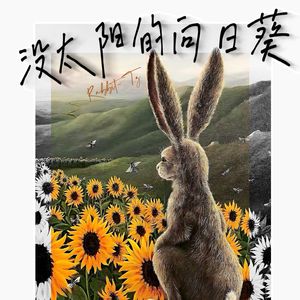 没太阳的向日葵