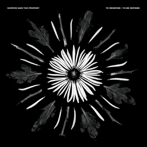 Follow (To Redefine version)