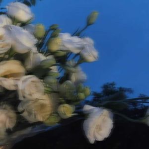 没有意外（你总是发呆 Demo）