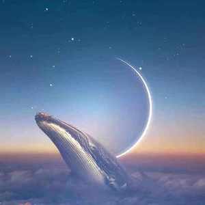 万物生（prod.byR7）