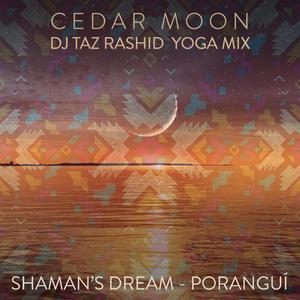 Cedar Moon (feat. Eric Zang) (DJ Taz Rashid Yoga Mix)