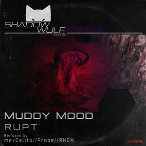 Muddy Mood (mexCalito Remix)