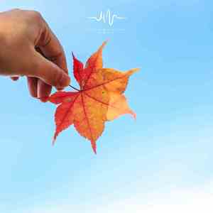 西岸风 (缓解焦虑)